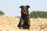 BEAUCERON 012